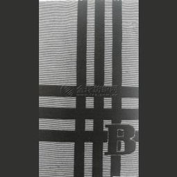 全滌提花布 時尚褲裝與襯衫面料的織造藝術(shù)