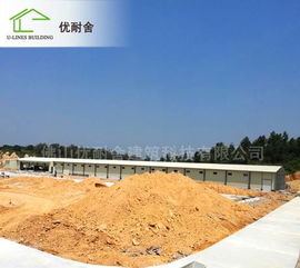 標(biāo)準(zhǔn)化家禽養(yǎng)殖場(chǎng)的規(guī)劃設(shè)計(jì)與施工 以預(yù)制房屋與鋼結(jié)構(gòu)在養(yǎng)雞場(chǎng)建設(shè)中的應(yīng)用